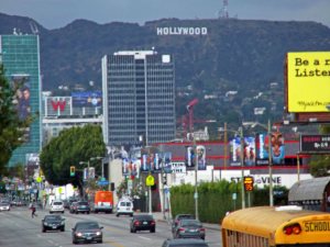 Crazy Busy Hollywood