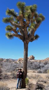 Di and Yucca brevifolia