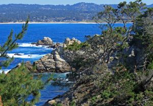 Point Lobos
