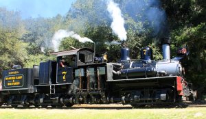 Roaring Camp and Big Trees Railway