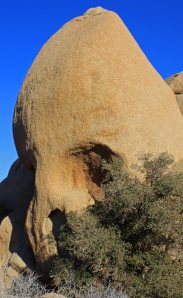 Skull rock