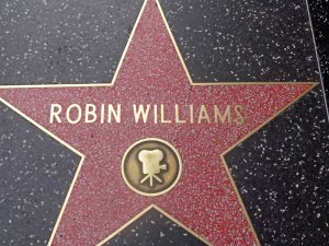 Stars on Sunset Blvd