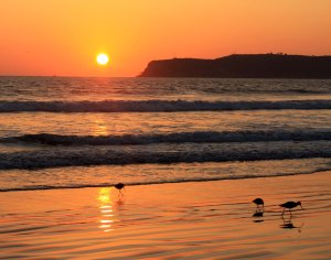 Point Loma sunset