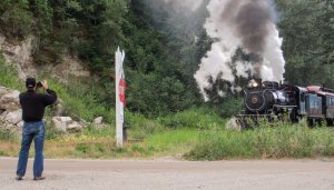 Ferroeqinologist chasing trains