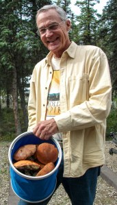 Wild mushroom picker