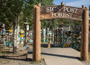 Signpost Forest