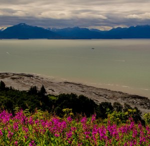 Cook Inlet