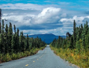 Typical Alaskan landscape along the Nabesna road
