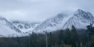 Fresh snow at Haines Junction
