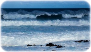 North Shore waves