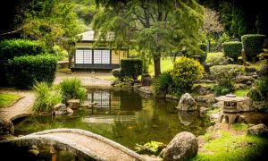Japanese garden