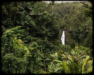Akaka falls