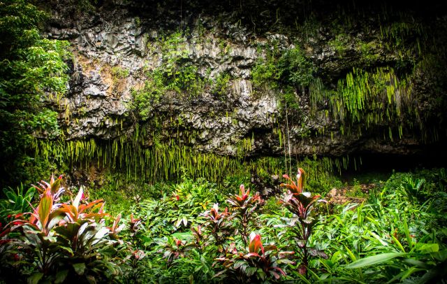 Fern Grotto