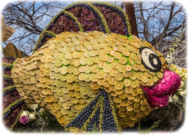 Made of citrus and blueberries