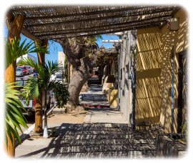 Todos Santos street scene