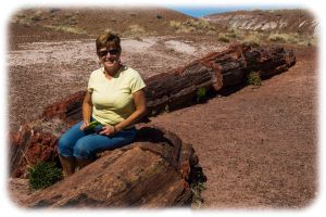 Petrified wood (sitting on)