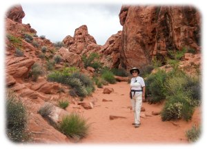 Mouse's Tank Petroglyph Trail