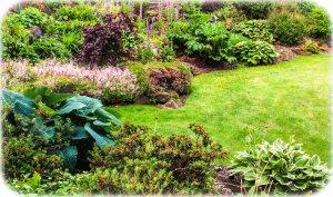 Vancouver Island is a gardeners paradise