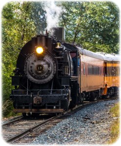 Mt Rainier Scenic Rwy.