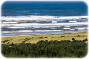 Pacific coast at Seaview
