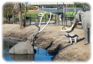 La Brea Tar Pits