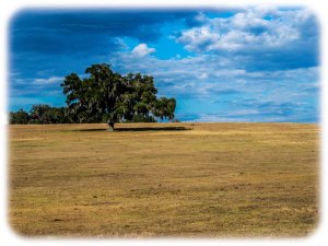 Rural west central Florida