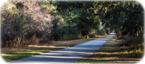 Withlacoochee State Trail