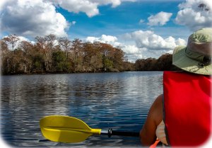 Peaceful easy paddle