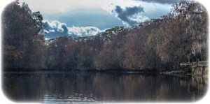 Winter Cypress lined river