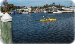 Kayaking Crystal River harbor