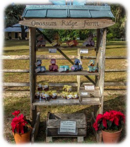 Homemade preserves - honor system! 