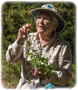 Peggy Lantz - Florida's Edible Wild Plants